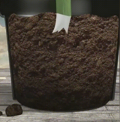 4935ae22b64691a6f2a1e05a494d3cc9.gif