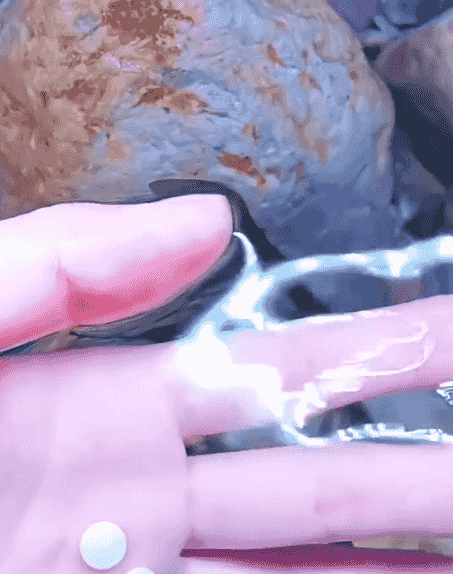 1736839913619510-(1)_21.gif