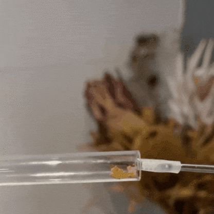 Disposable ear spoon