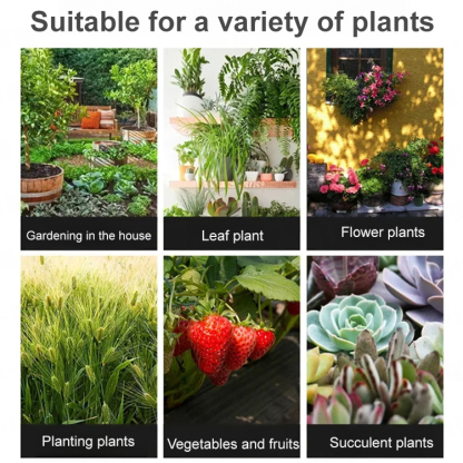 Microbial soil activator for soil improvement