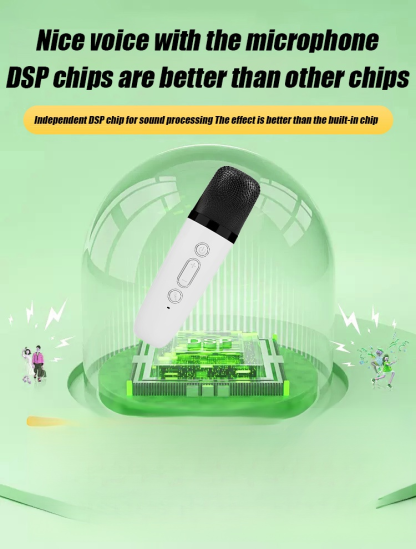 FM-Portable KTV lighting Bluetooth speaker [with microphone]