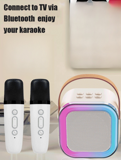 FM-Portable KTV lighting Bluetooth speaker [with microphone]
