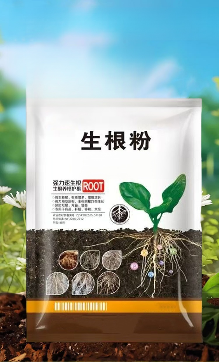 翻译件-JS-强力生根壮苗剂蔬菜生根粉-1181894-系统_04.jpg