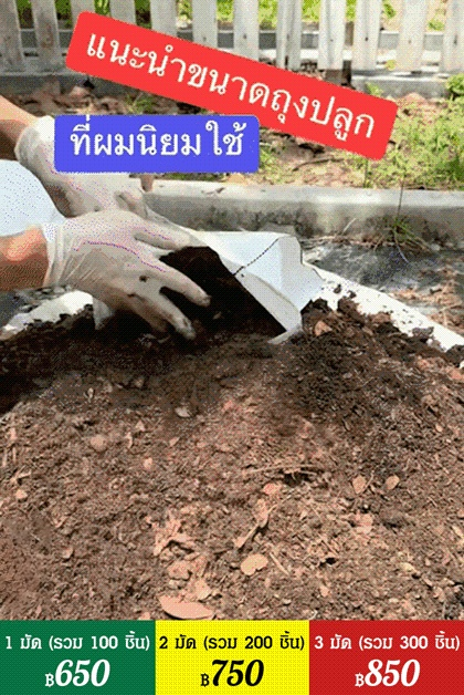 【สวรรค์แห่งการเพาะปลูก】ถุงปลูกต้นกล้าที่ย่อยสลายได้