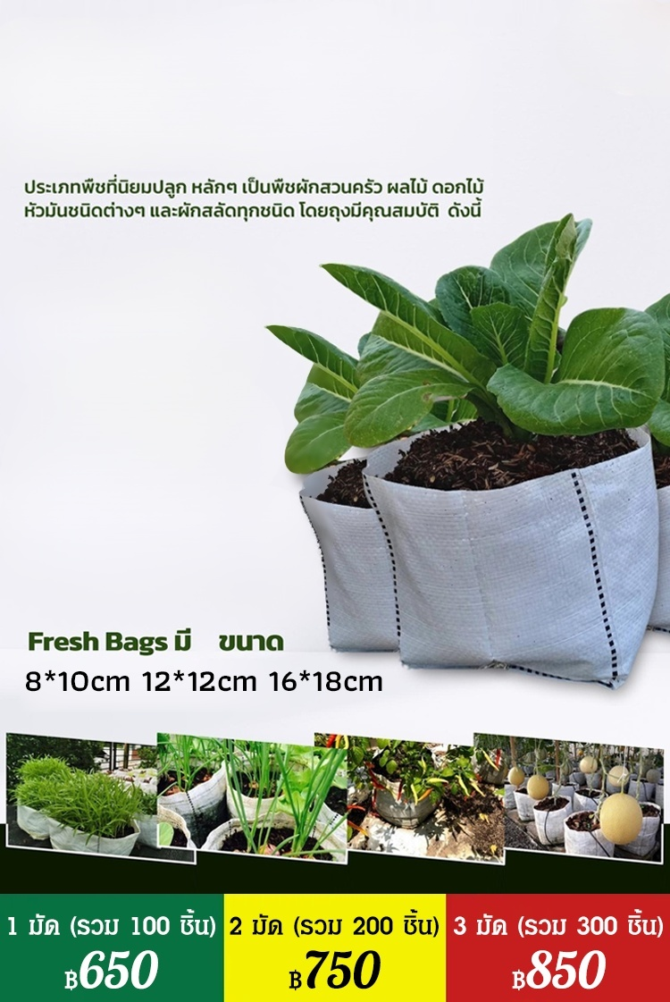 【สวรรค์แห่งการเพาะปลูก】ถุงปลูกต้นกล้าที่ย่อยสลายได้