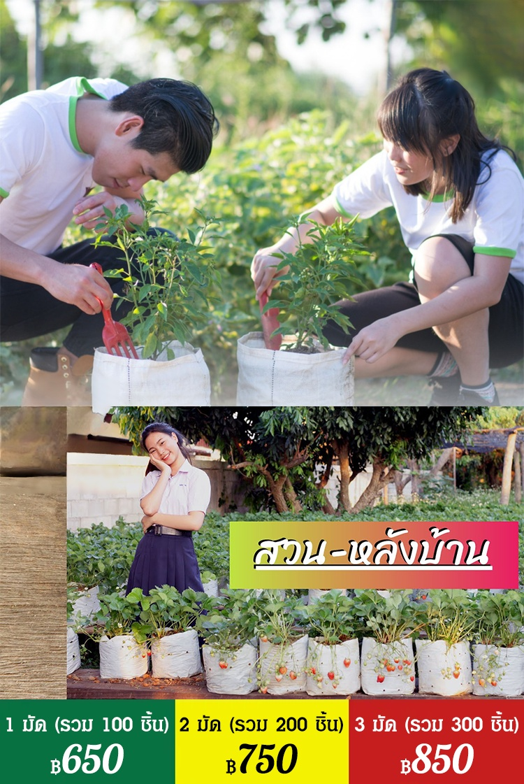 【สวรรค์แห่งการเพาะปลูก】ถุงปลูกต้นกล้าที่ย่อยสลายได้