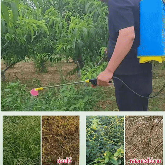 สารกำจัดวัชพืช-กลูโฟซิเนต-แอมโมเนียมซอลต์