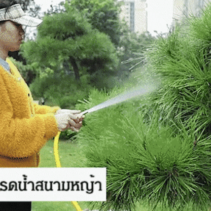 ปืนฉีดน้ำล้างรถแบบฉีดตรงทำจากทองแดงล้วน