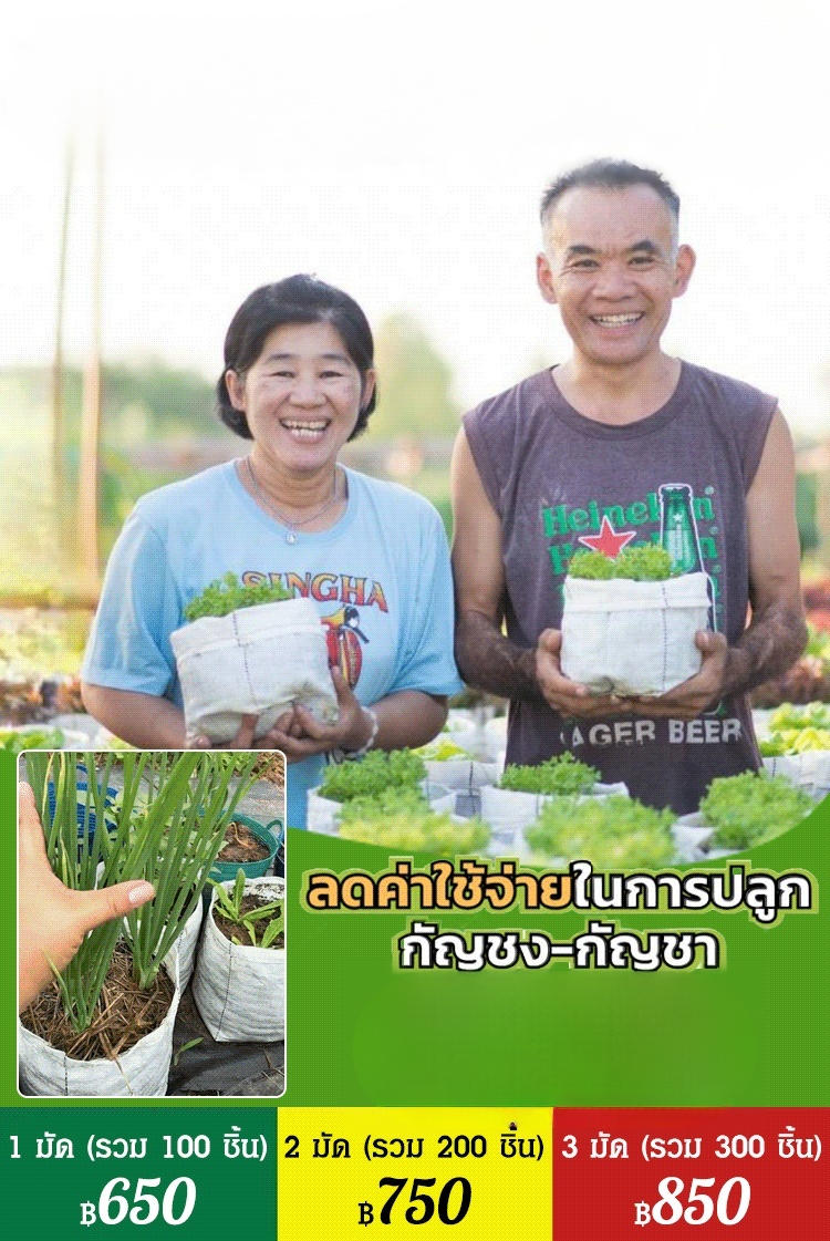 【สวรรค์แห่งการเพาะปลูก】ถุงปลูกต้นกล้าที่ย่อยสลายได้