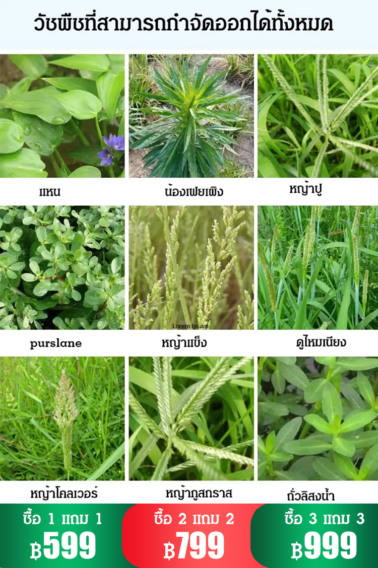 สารกำจัดวัชพืช-กลูโฟซิเนต-แอมโมเนียมซอลต์