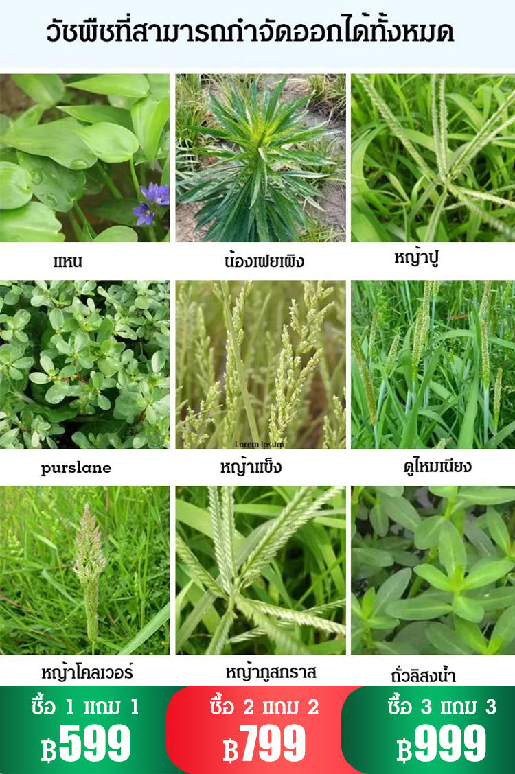สารกำจัดวัชพืช-กลูโฟซิเนต-แอมโมเนียมซอลต์