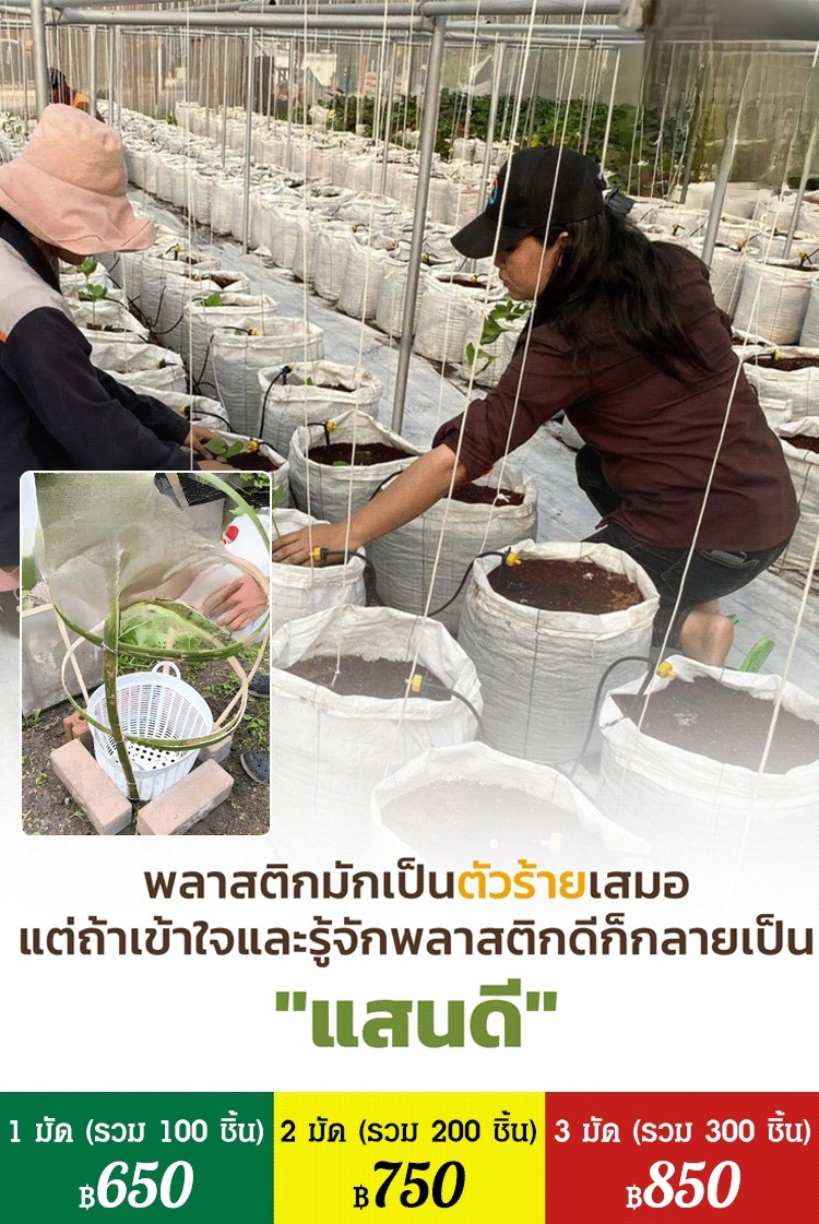 【สวรรค์แห่งการเพาะปลูก】ถุงปลูกต้นกล้าที่ย่อยสลายได้