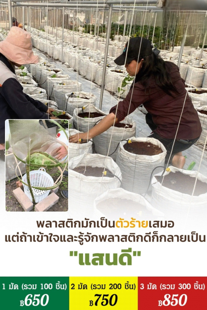 【สวรรค์แห่งการเพาะปลูก】ถุงปลูกต้นกล้าที่ย่อยสลายได้