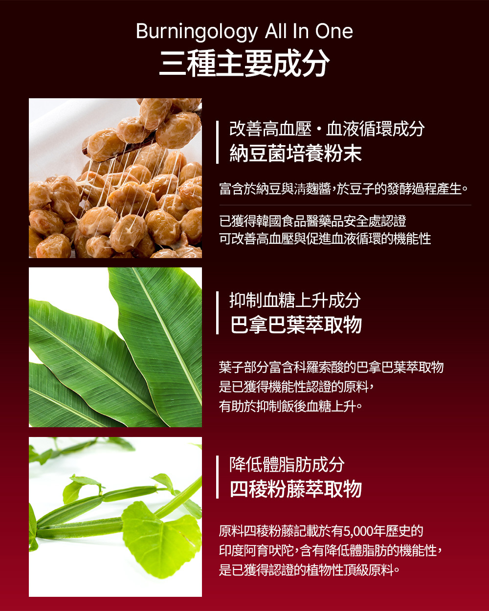 Burningology All in one 減肥綜合護理包(10包)