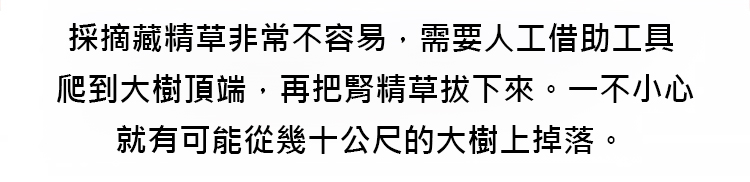 翻译件-SL-纯正野生人工采摘藏精茶-1202457-系统_09.jpg