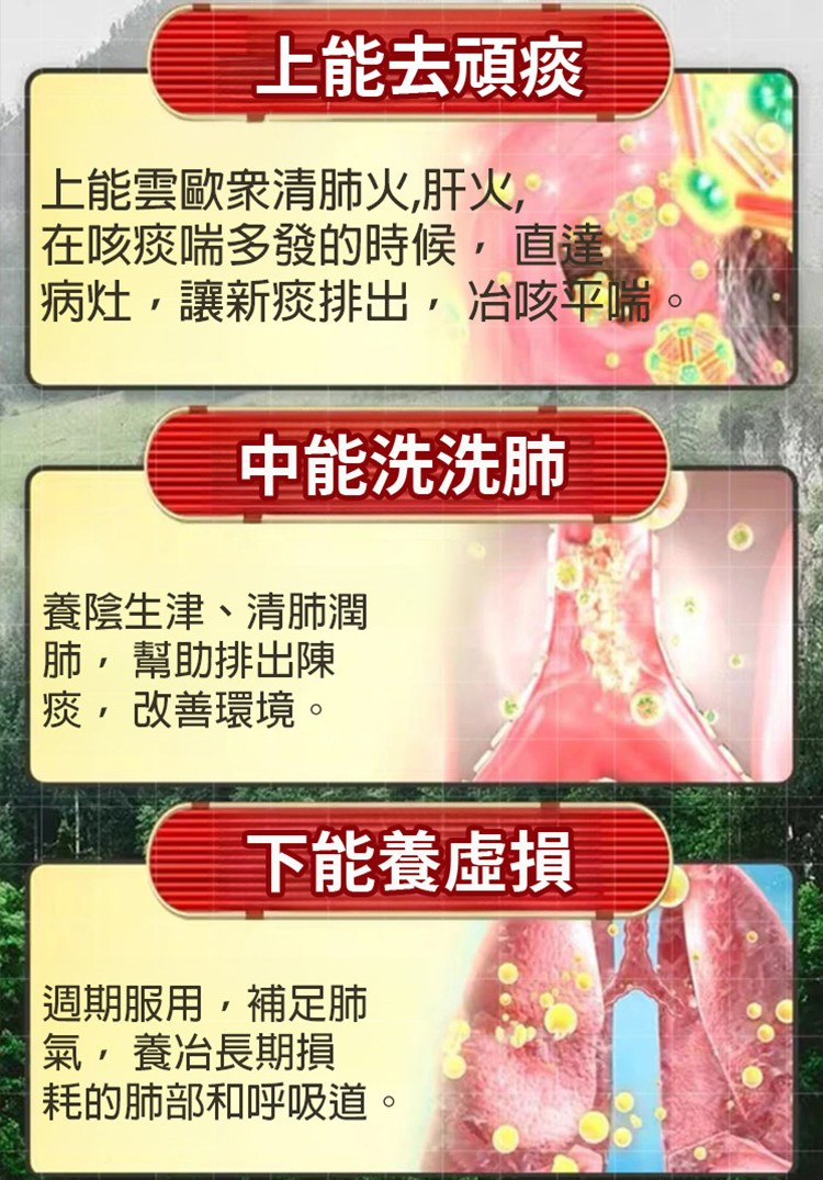 【咽喉伴侶】羅漢果胖大海雪梨茶