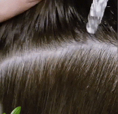 1_11.gif