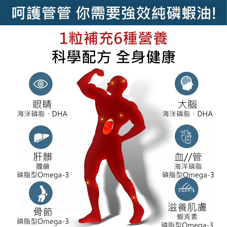 【三高剋星】降血脂促眠高品質中老年磷蝦油