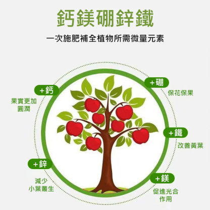 【壯苗大果】鋅硼鉀鈣鐵鎂肥，減少裂果、促花促果、膨果飽籽、綠葉增甜