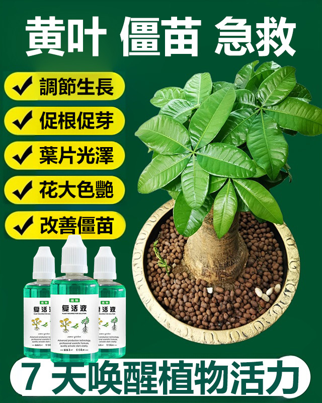 植物復活液