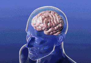 de64b287c894e99f97c8120074c07f79.gif
