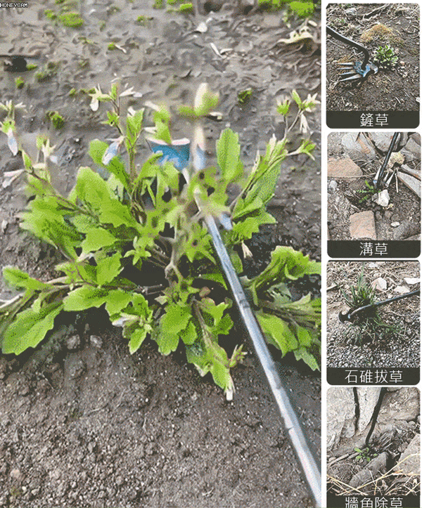 錳鋼鍛造長柄省力除草鬆土神器