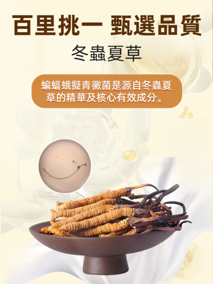 蝙蝠蛾粉西洋參膠囊