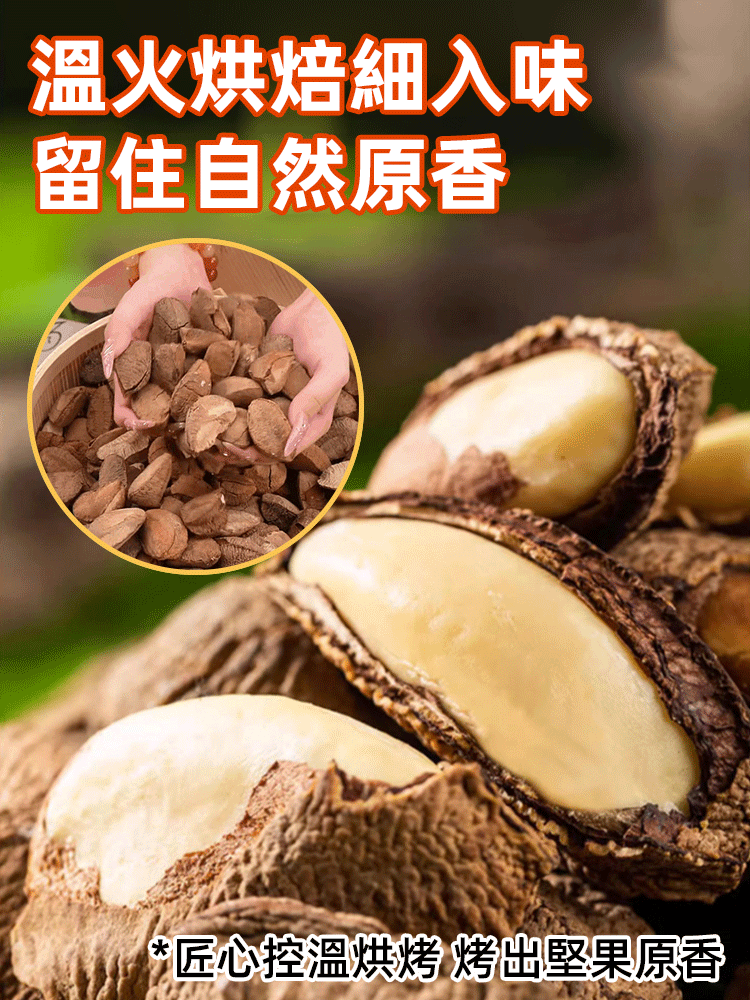 新貨開口巴西鮑魚果