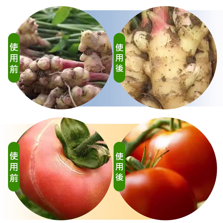 【壯苗大果】鋅硼鉀鈣鐵鎂肥，減少裂果、促花促果、膨果飽籽、綠葉增甜