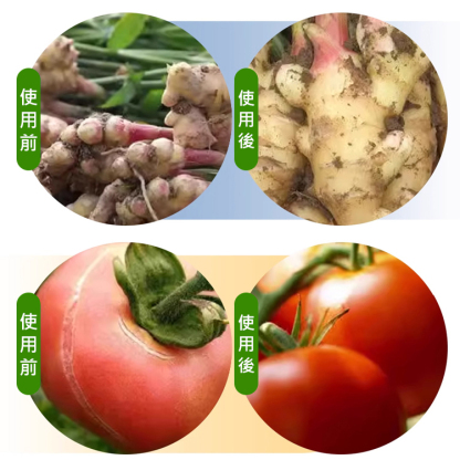 【壯苗大果】鋅硼鉀鈣鐵鎂肥，減少裂果、促花促果、膨果飽籽、綠葉增甜