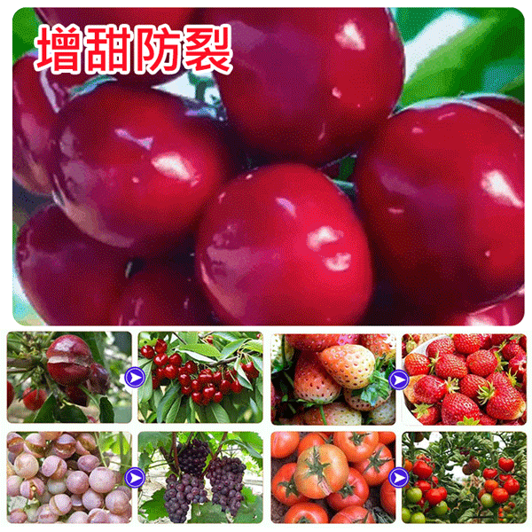 【壯苗大果】鋅硼鉀鈣鐵鎂肥，減少裂果、促花促果、膨果飽籽、綠葉增甜
