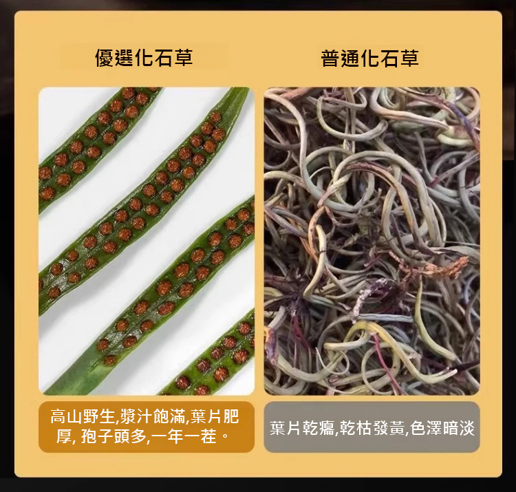 翻译件-SL-纯正野生人工采摘藏精茶-1202457-系统_13.jpg