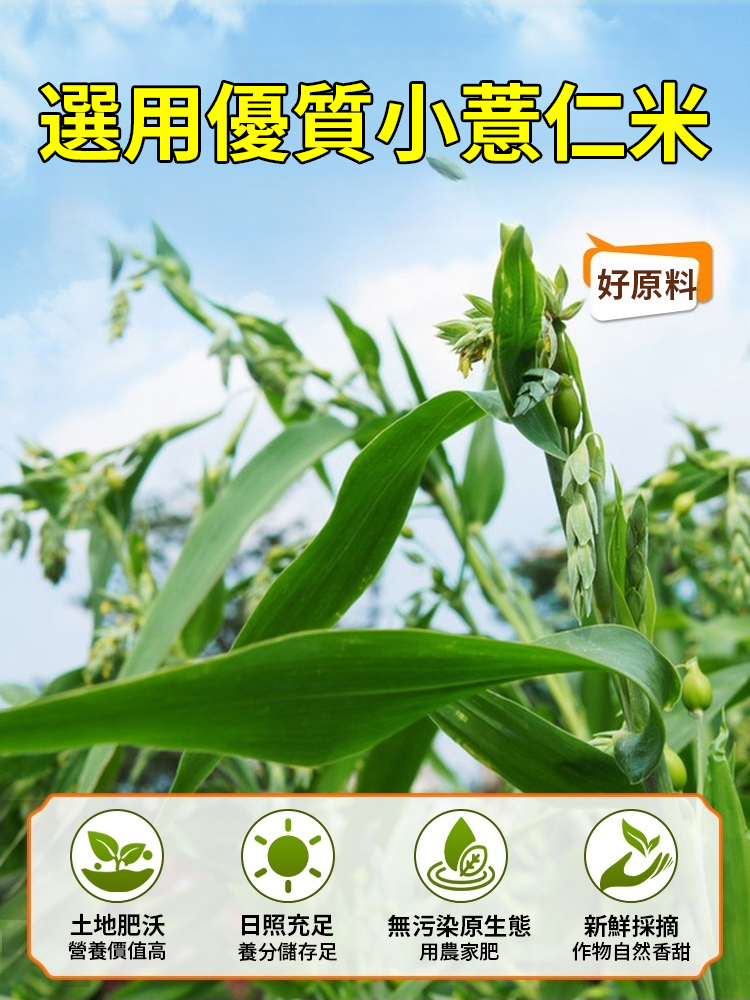 藥食同源開袋即食炒薏苡仁