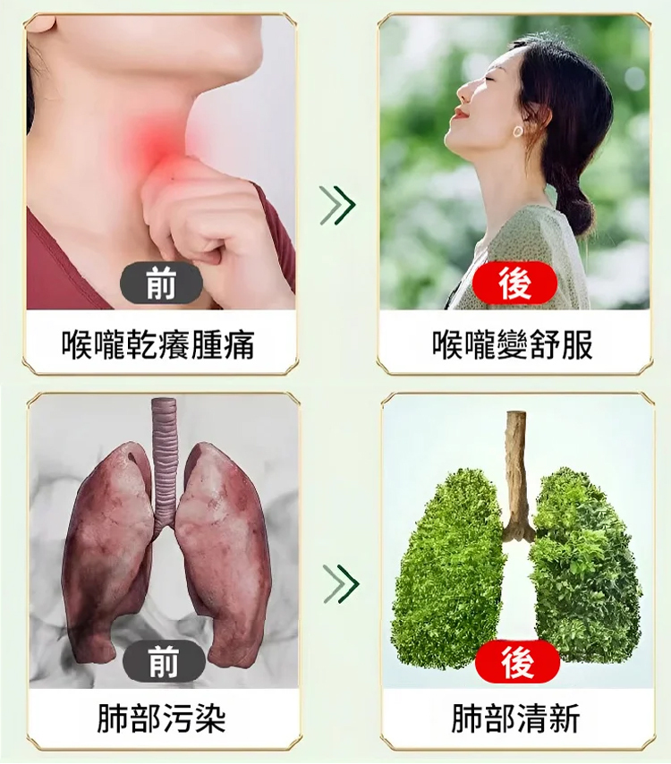 【潤肺利咽】胖大海羅漢果枇杷茶