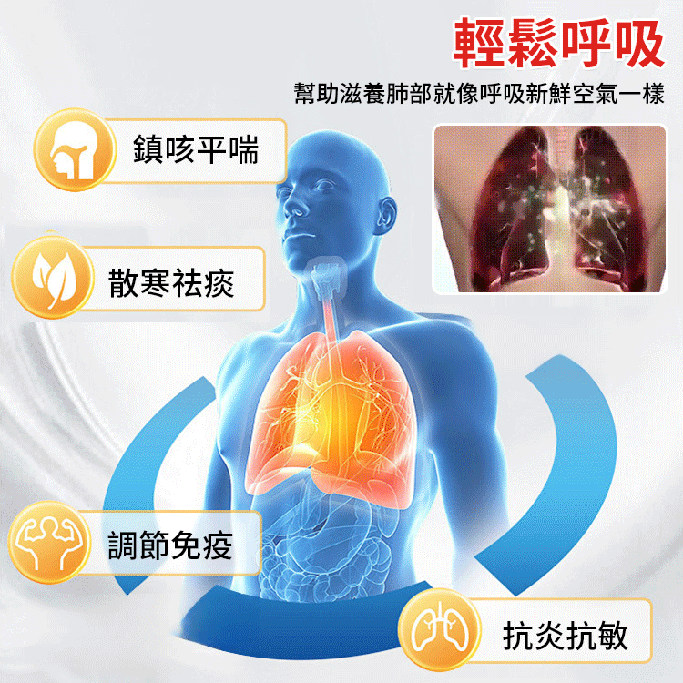 【肺部吸塵器】純天然杏仁