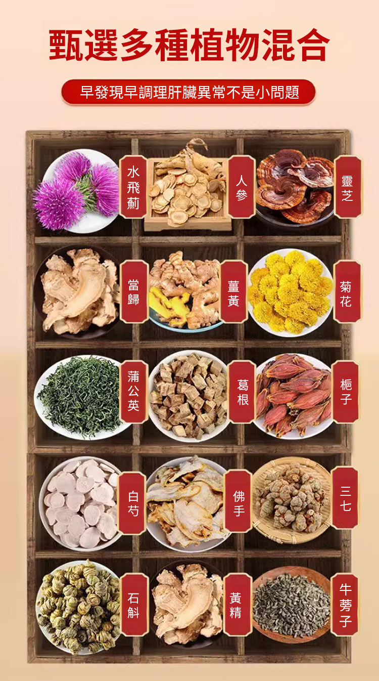 HFH-香港时珍大药房水飞蓟人参佛手贴_20.jpg