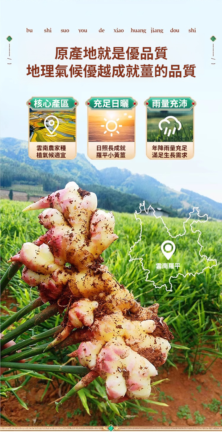 翻译件-SL-九蒸九晒小黄姜粉-1187517-系统(1)_05.jpg