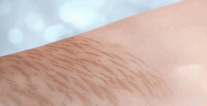 06.gif