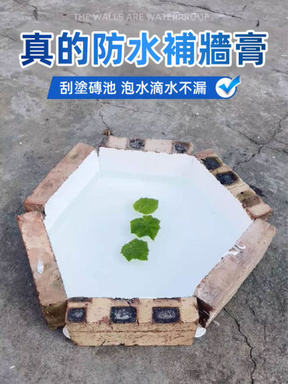 壁癌剋星防水防黴抗返鹼牆面修補膏