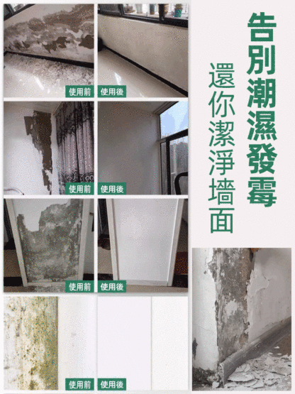 壁癌剋星防水防黴抗返鹼牆面修補膏