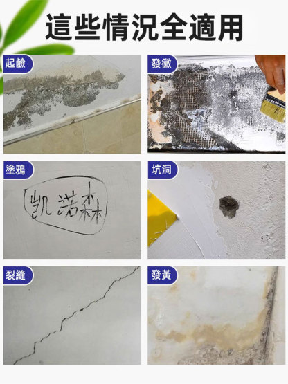 壁癌剋星防水防黴抗返鹼牆面修補膏