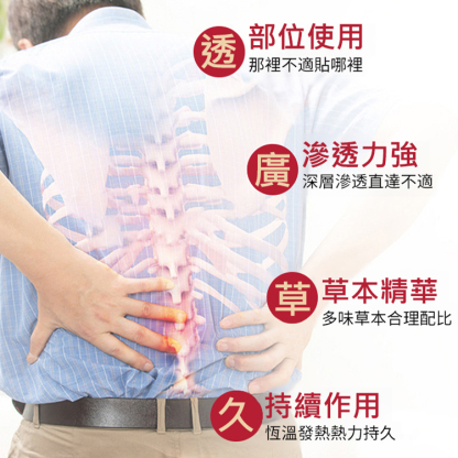 泰蛇本草貼艾灸貼