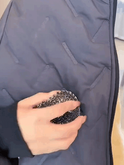 tutieshi_640x1137_5s-(1).gif