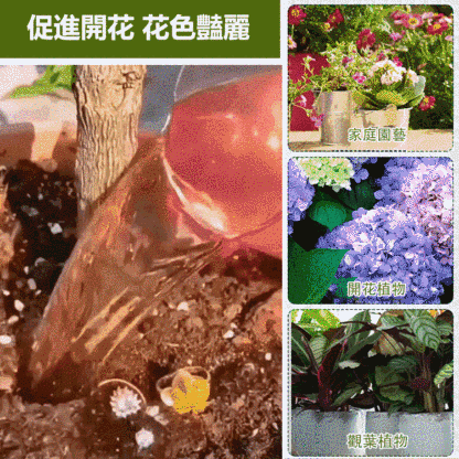 【崔蕾促花】快速開花粉