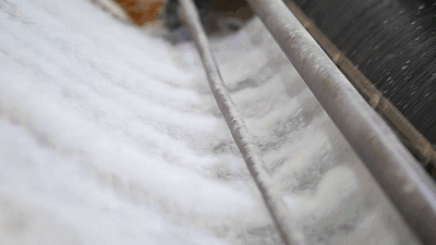 03.gif
