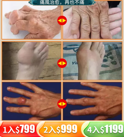 北京同仁堂茯苓梔子菊苣茶