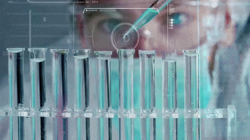 02.gif