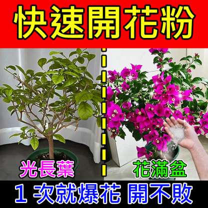 【崔蕾促花】快速開花粉