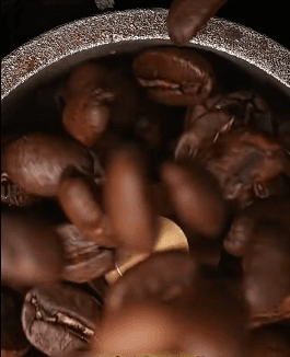 Honeycam 2025-02-13 14-55-53.gif