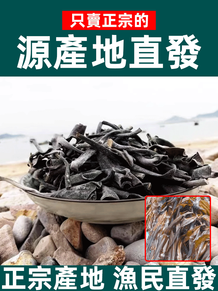 特厚特級新貨海帶頭蒂